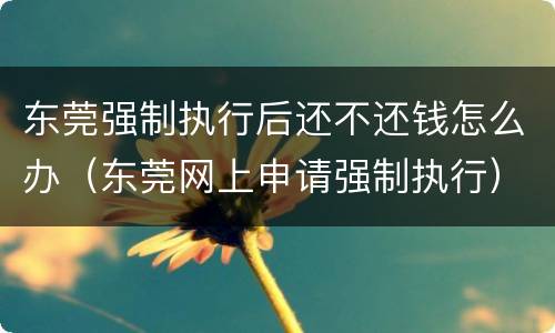 东莞强制执行后还不还钱怎么办（东莞网上申请强制执行）