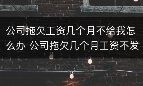 公司拖欠工资几个月不给我怎么办 公司拖欠几个月工资不发怎么办