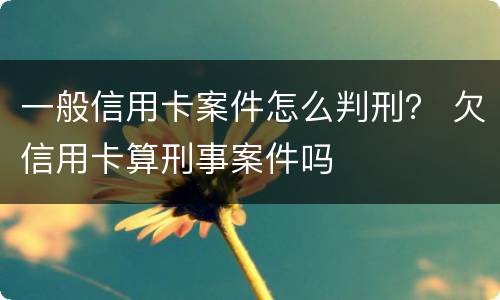 一般信用卡案件怎么判刑？ 欠信用卡算刑事案件吗