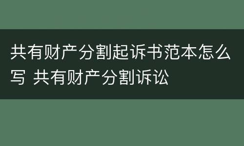 共有财产分割起诉书范本怎么写 共有财产分割诉讼