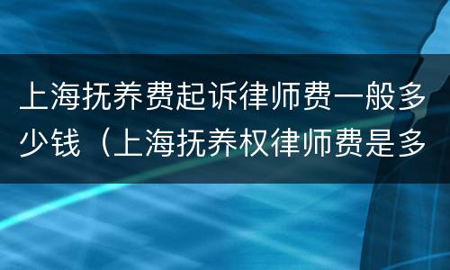 上海抚养费起诉律师费一般多少钱（上海抚养权律师费是多少）