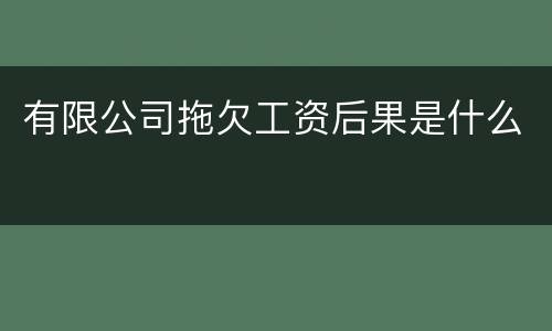 有限公司拖欠工资后果是什么
