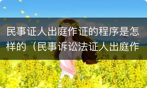 民事证人出庭作证的程序是怎样的（民事诉讼法证人出庭作证的规定）