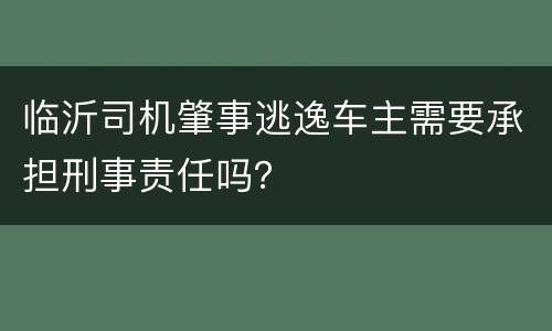 临沂司机肇事逃逸车主需要承担刑事责任吗？