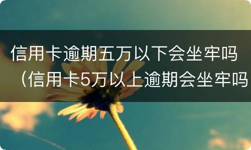 信用卡逾期五万以下会坐牢吗（信用卡5万以上逾期会坐牢吗）