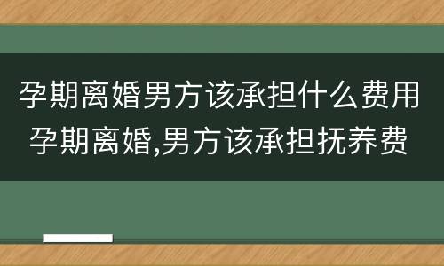 孕期离婚男方该承担什么费用 孕期离婚,男方该承担抚养费吗