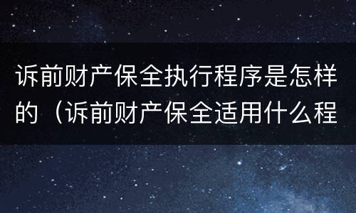 诉前财产保全执行程序是怎样的（诉前财产保全适用什么程序）