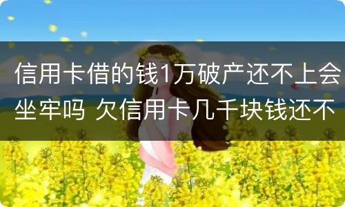 信用卡借的钱1万破产还不上会坐牢吗 欠信用卡几千块钱还不上会坐牢吗