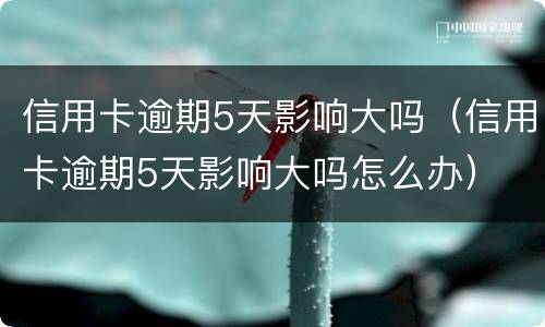 信用卡逾期5天影响大吗（信用卡逾期5天影响大吗怎么办）