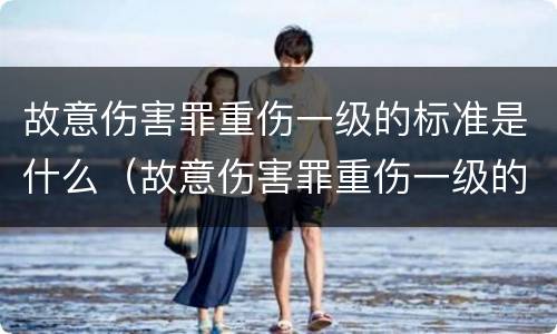 故意伤害罪重伤一级的标准是什么（故意伤害罪重伤一级的标准是什么呢）