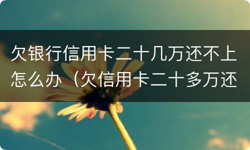 欠银行信用卡二十几万还不上怎么办（欠信用卡二十多万还不上怎么办）