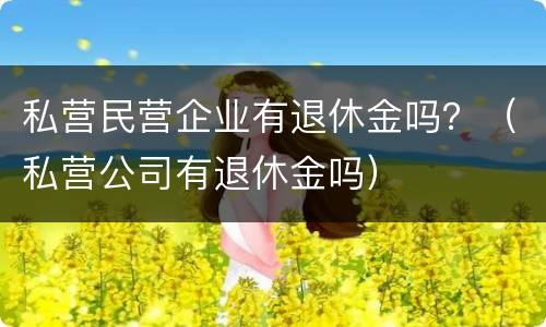 私营民营企业有退休金吗？（私营公司有退休金吗）