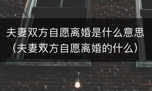 夫妻双方自愿离婚是什么意思（夫妻双方自愿离婚的什么）