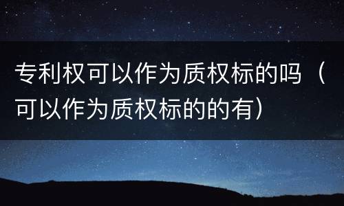 专利权可以作为质权标的吗（可以作为质权标的的有）