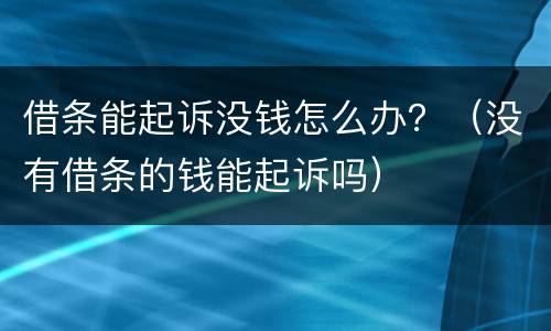 借条能起诉没钱怎么办？（没有借条的钱能起诉吗）