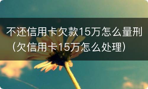 不还信用卡欠款15万怎么量刑（欠信用卡15万怎么处理）