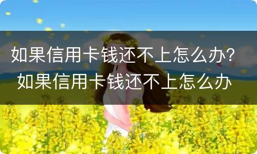 如果信用卡钱还不上怎么办？ 如果信用卡钱还不上怎么办