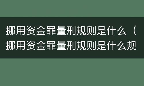挪用资金罪量刑规则是什么（挪用资金罪量刑规则是什么规定）