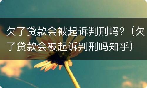 欠了贷款会被起诉判刑吗?（欠了贷款会被起诉判刑吗知乎）