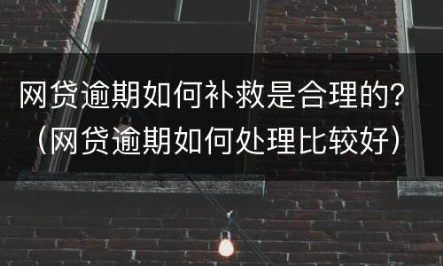 网贷逾期如何补救是合理的？（网贷逾期如何处理比较好）