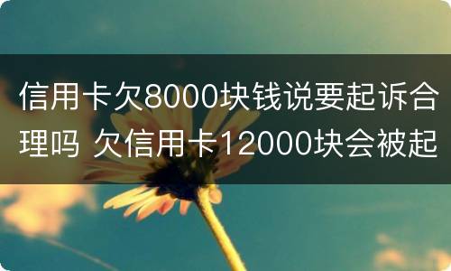 信用卡欠8000块钱说要起诉合理吗 欠信用卡12000块会被起诉吗