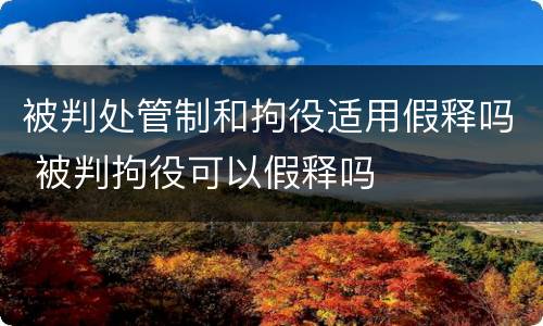 被判处管制和拘役适用假释吗 被判拘役可以假释吗