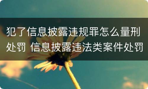 犯了信息披露违规罪怎么量刑处罚 信息披露违法类案件处罚多少起