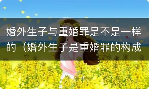 婚外生子与重婚罪是不是一样的（婚外生子是重婚罪的构成要件）
