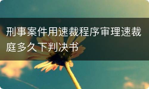 刑事案件用速裁程序审理速裁庭多久下判决书
