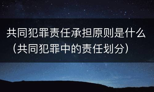 共同犯罪责任承担原则是什么（共同犯罪中的责任划分）