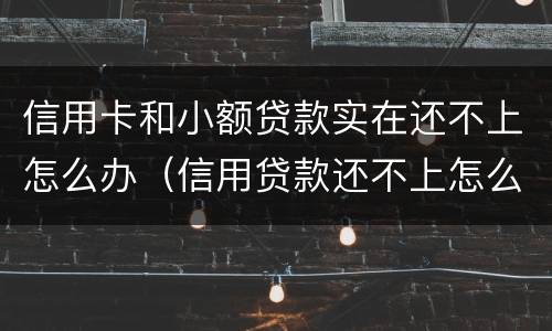 信用卡和小额贷款实在还不上怎么办（信用贷款还不上怎么办?）