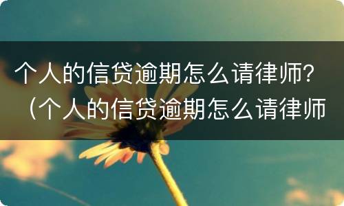 个人的信贷逾期怎么请律师？（个人的信贷逾期怎么请律师咨询）