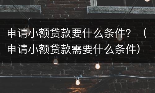 申请小额贷款要什么条件？（申请小额贷款需要什么条件）