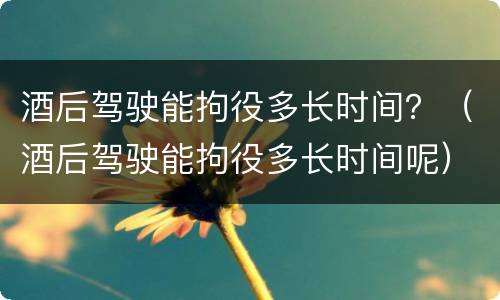酒后驾驶能拘役多长时间？（酒后驾驶能拘役多长时间呢）