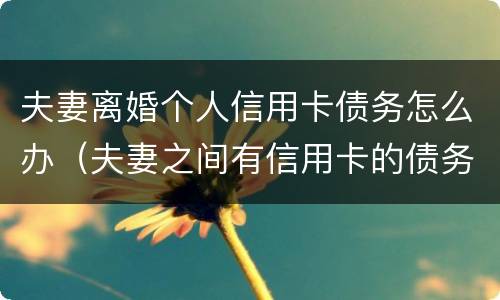 夫妻离婚个人信用卡债务怎么办（夫妻之间有信用卡的债务可以离婚吗）