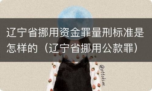 辽宁省挪用资金罪量刑标准是怎样的（辽宁省挪用公款罪）