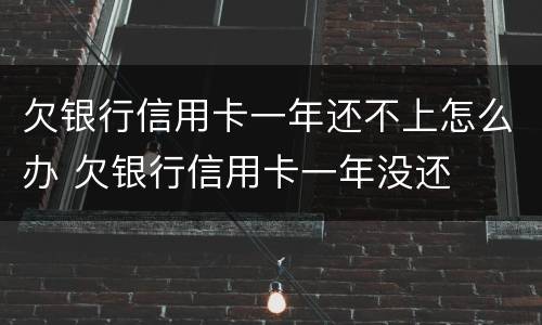 欠银行信用卡一年还不上怎么办 欠银行信用卡一年没还
