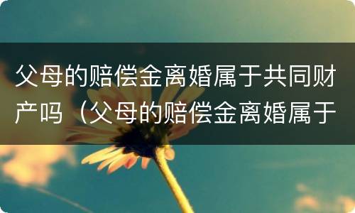 父母的赔偿金离婚属于共同财产吗（父母的赔偿金离婚属于共同财产吗）