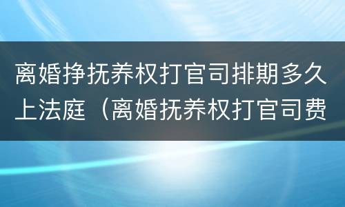 离婚挣抚养权打官司排期多久上法庭（离婚抚养权打官司费用）