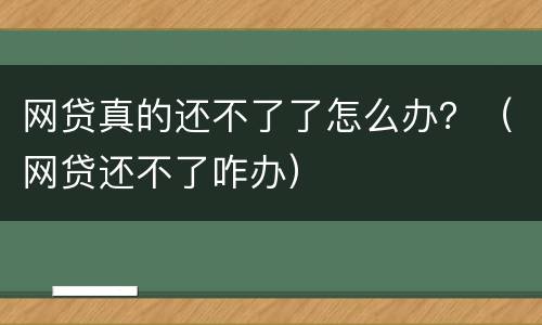 网贷真的还不了了怎么办？（网贷还不了咋办）