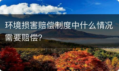环境损害赔偿制度中什么情况需要赔偿？