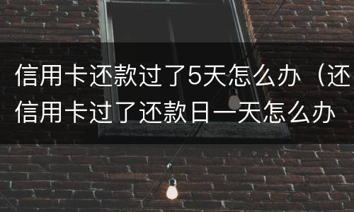 信用卡还款过了5天怎么办（还信用卡过了还款日一天怎么办）