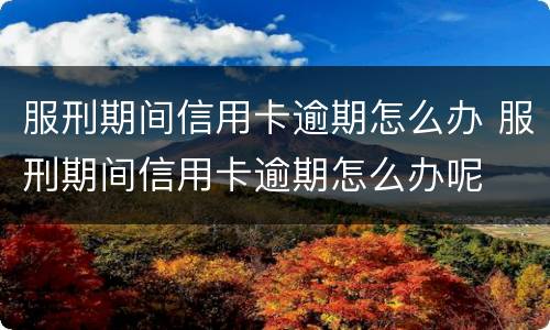 服刑期间信用卡逾期怎么办 服刑期间信用卡逾期怎么办呢