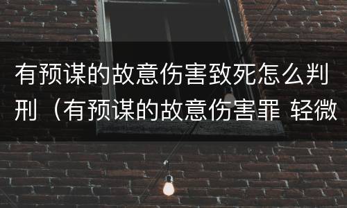 有预谋的故意伤害致死怎么判刑（有预谋的故意伤害罪 轻微伤）