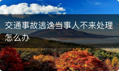 交通事故逃逸当事人不来处理怎么办