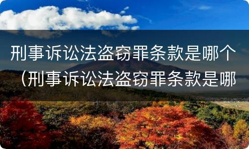 刑事诉讼法盗窃罪条款是哪个（刑事诉讼法盗窃罪条款是哪个法律规定）