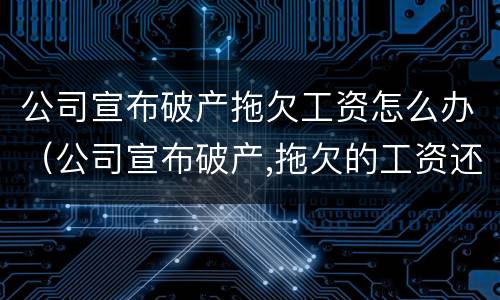 公司宣布破产拖欠工资怎么办（公司宣布破产,拖欠的工资还能要回来吗）