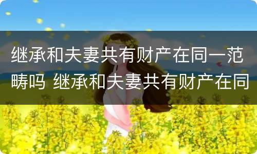 继承和夫妻共有财产在同一范畴吗 继承和夫妻共有财产在同一范畴吗为什么