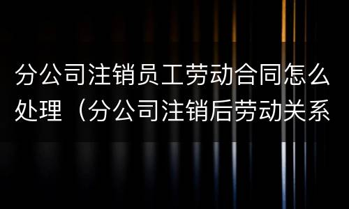 分公司注销员工劳动合同怎么处理（分公司注销后劳动关系怎么处理）