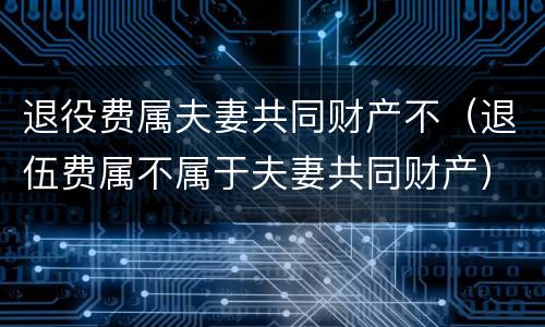 退役费属夫妻共同财产不（退伍费属不属于夫妻共同财产）